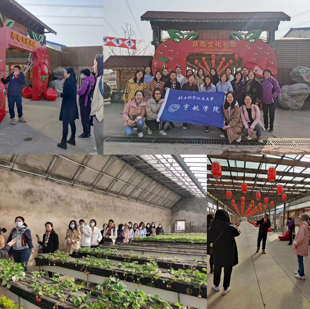mg不朽情缘(中国)官方网站