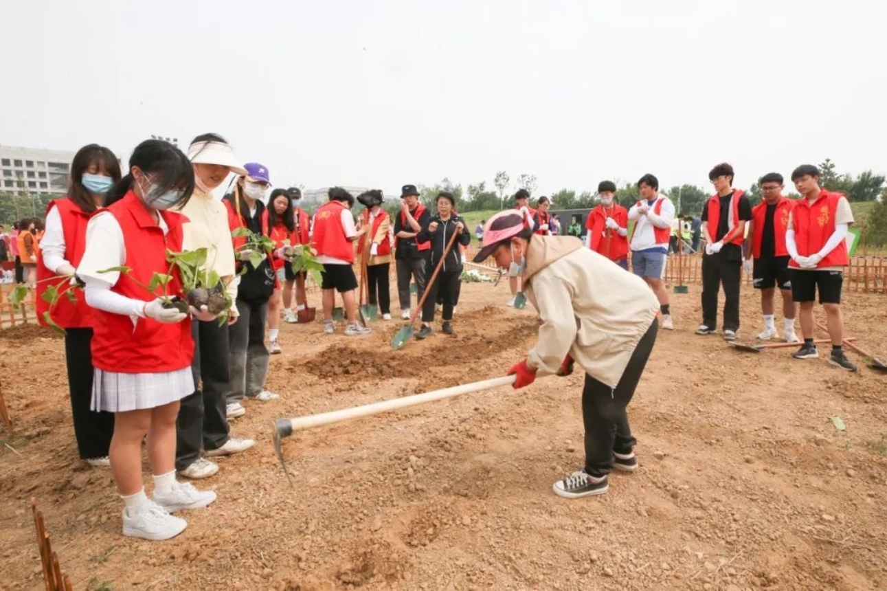 大发welcome(中国游)首页官网登录