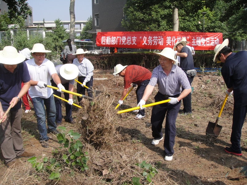 大发welcome(中国游)首页官网登录