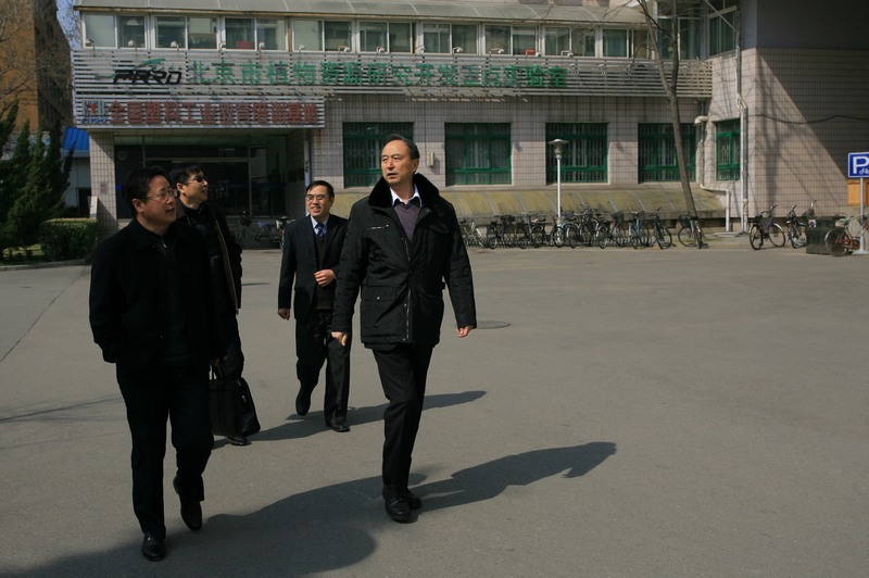 大发welcome(中国游)首页官网登录