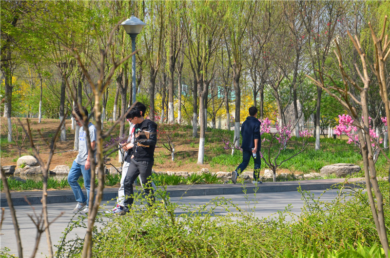 大发welcome(中国游)首页官网登录